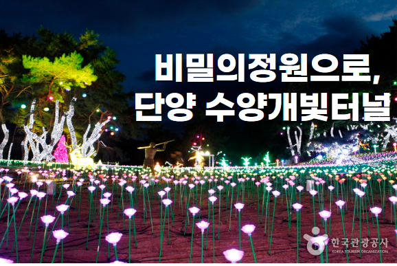 제목